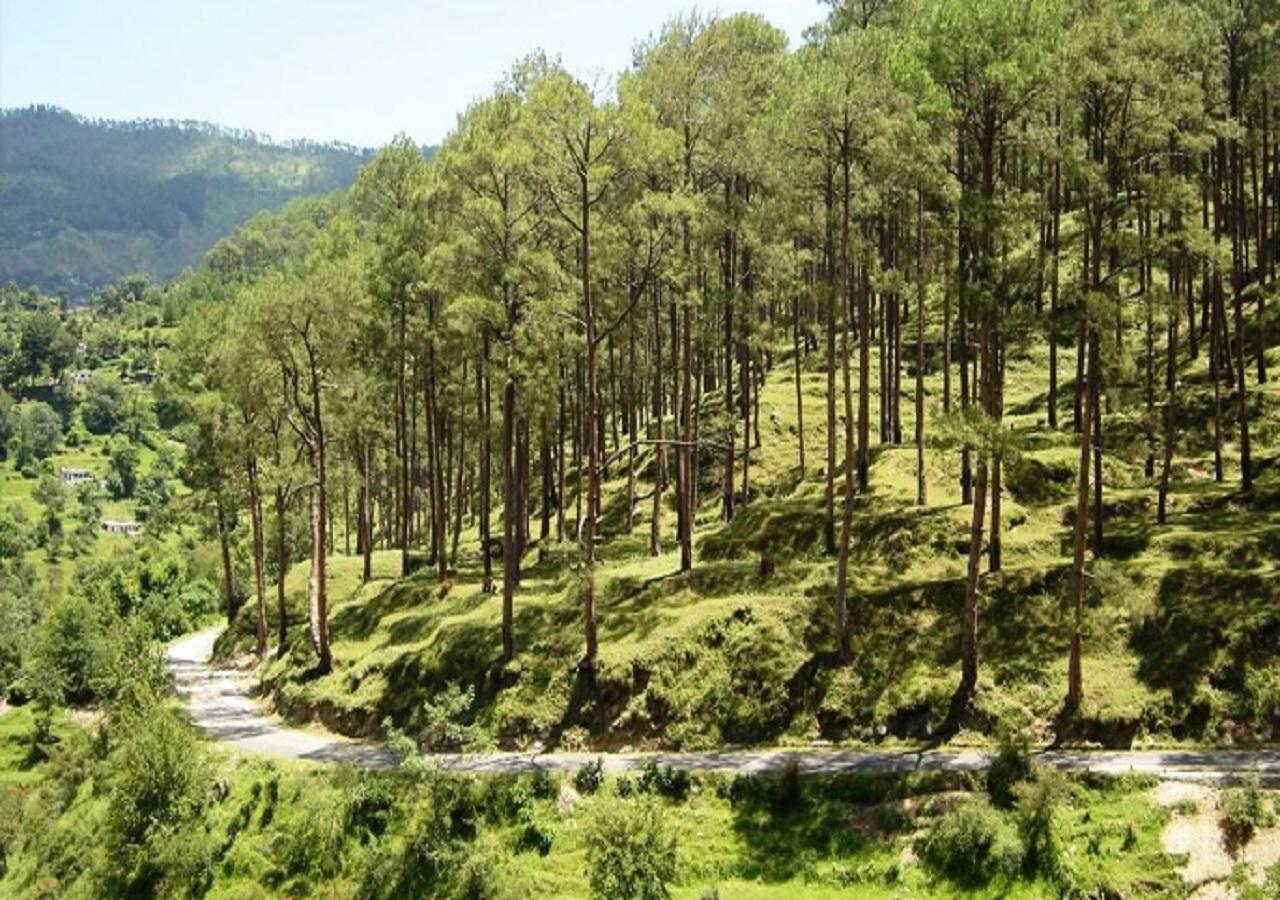 Uttarakhand Resort Kausani Esterno foto